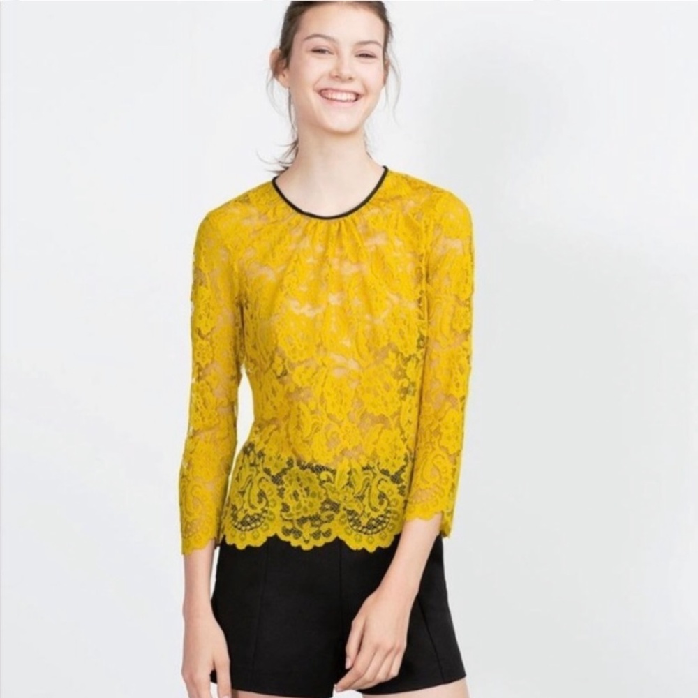 Zara Mustard Yellow Sheer Lace Top